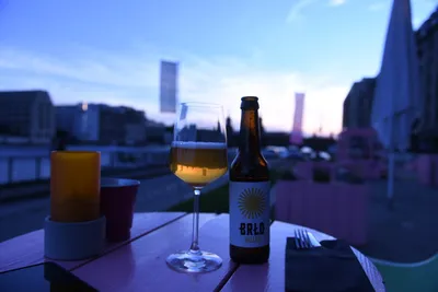 DSC_1794 (Large).JPG